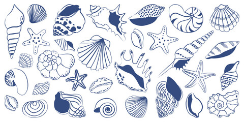 Navy blue seashell line art collection. Hand drawn nautical starfish, nautilus, conch and scallop shells in engraving style © Iryna