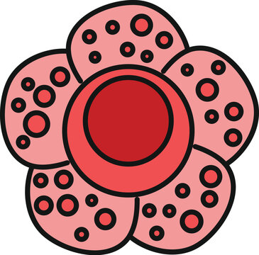Iconic rafflesia arnoldii bloom in a simple flat style vector