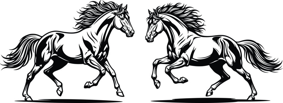 Black and white illustration of two rearing horses facing each other