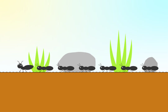 地面を歩くアリの行列のイラスト