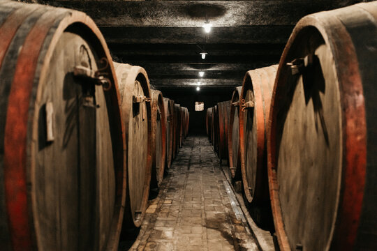 View of large traditional wooden wine barrels stored in a dark historic cellar with dim lighting and stone floors Coka, Vojvodina, Serbia.