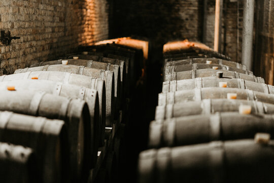 View of rows of wooden wine barrels aging in a dark historic cellar with brick walls Coka, Vojvodina, Serbia.