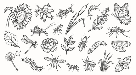 Various insects with wild herbs and flowers black white vector set. Hand drawn sketch of different bugs, butterflies and meadow plants for natural design. Outline drawing flora and fauna objects. © bow