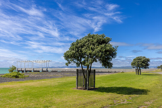 View of the Marine Parade waterfront with a modern viewing platform, pebble beach, and green lawn under a bright blue sky with wispy clouds Napier, Hawke's Bay Region, New Zealand.