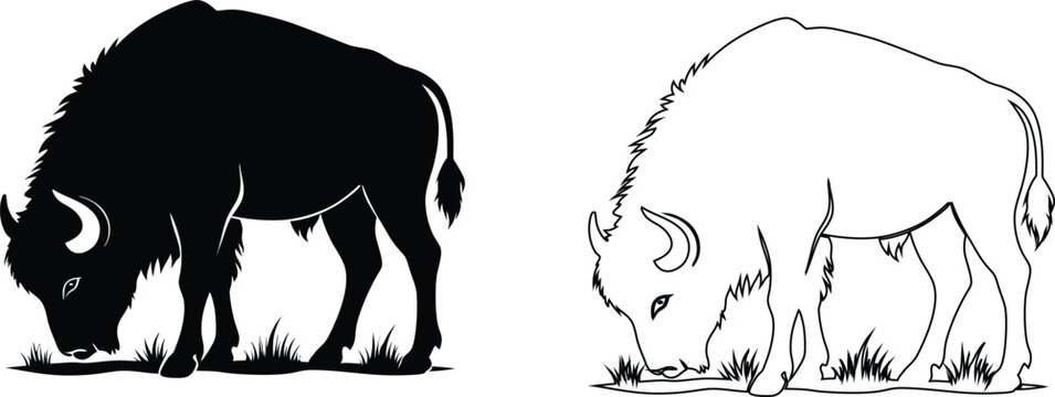Black and white silhouette and outline of a bison grazing on grass buffalo animal mammal