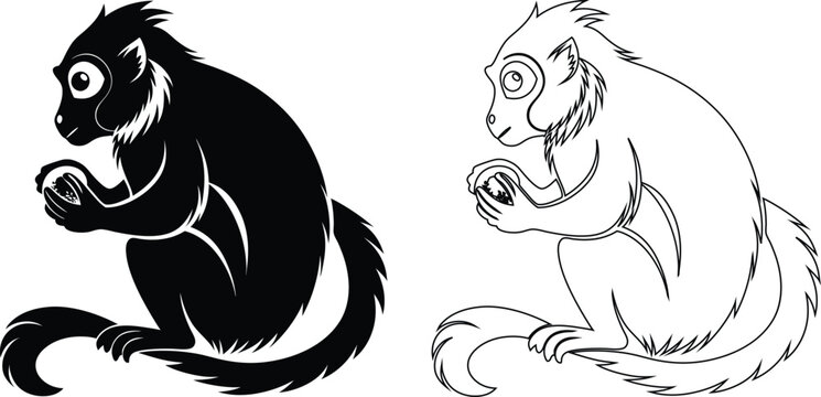 Black and white of a monkey sitting and holding a round in its hands primate animal