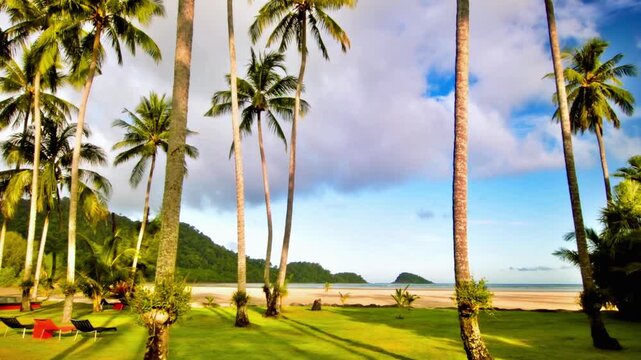 Tropical beach resort with palm trees and ocean view lounge chairs