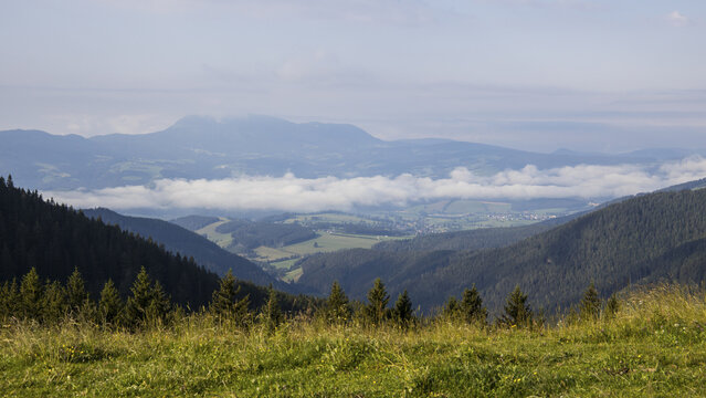 View of the Almenland alpine landscape with rolling green hills and dense pine forests under a misty sky in Teichalm, Steiermark, Austria.