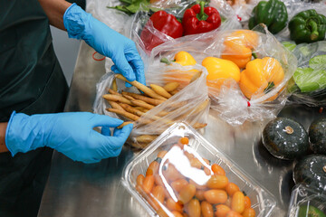 Fototapeta premium Careful worker wearing blue glove on hand sorting fresh vegetable food into plastic packaging on metal table for hygienic preparation and safe grocery delivery