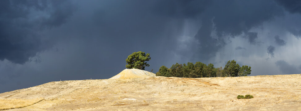 Panorama view of rain falling from dark storm clouds over a single gum tree on top of a mullock heap