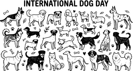International Dog Day Hand-drawn Black and White Line Art. Diverse collection of dog breeds, perfect animal and pet illustration for celebrations and events. © lincen