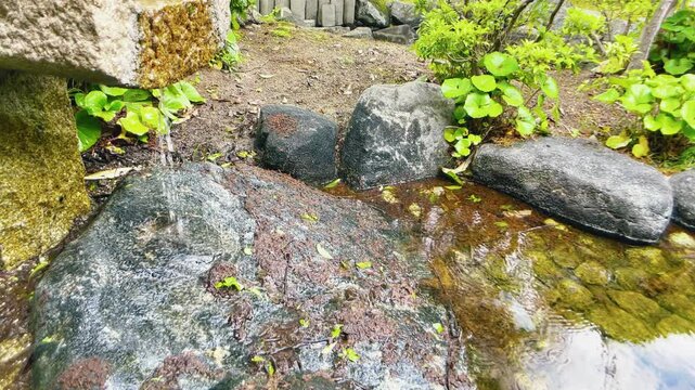 【自然】公園の池と水辺と小さな滝と石のある風景 - Park Landscape with Pond, Waterside, Small Waterfall and Stones