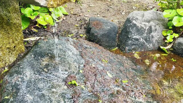 【自然】公園の池と水辺にある石と小さな滝の風景 - Park Landscape with Pond, Waterside, Stones and Small Waterfall