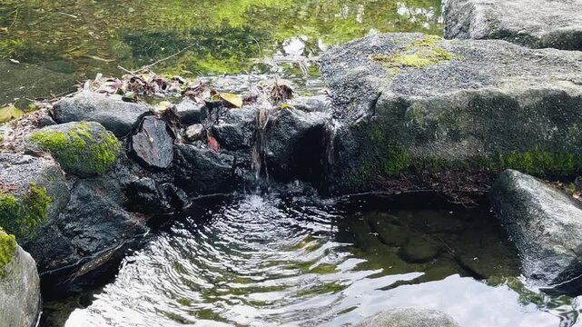 【自然】公園の池と流れる水と石のある風景 - Park Landscape with Pond, Flowing Water and Stones