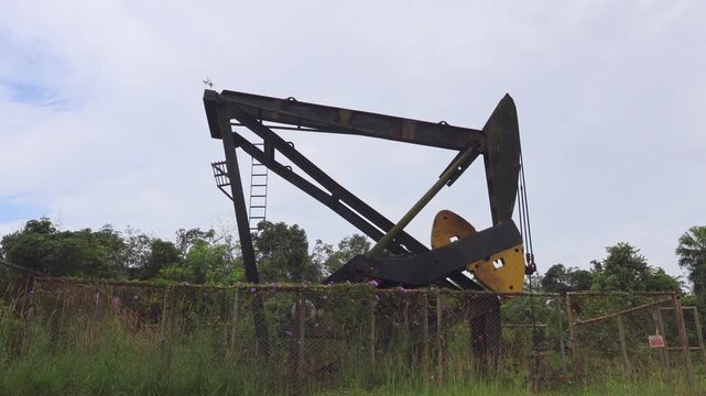 An old industrial oil pumpjack machine operating in a rural area surrounded by dense green forest and wild grass under a cloudy sky.