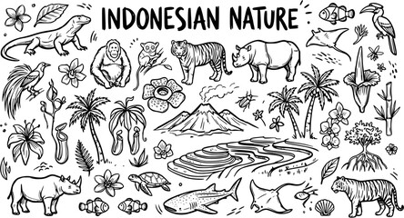 Indonesian Nature Black and White Line Art Doodle - Animals, Plants, Volcano, Water © mixeila