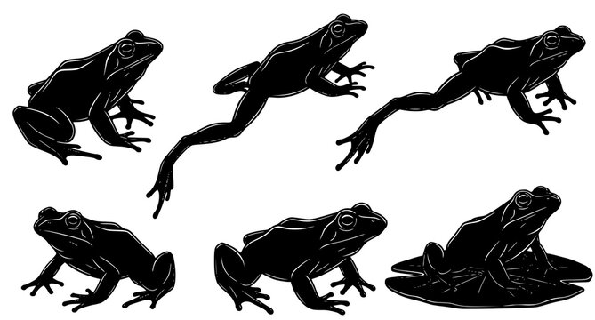 Set of black silhouettes featuring various frogs in different poses isolated on white background for wildlife design elements and nature illustrations