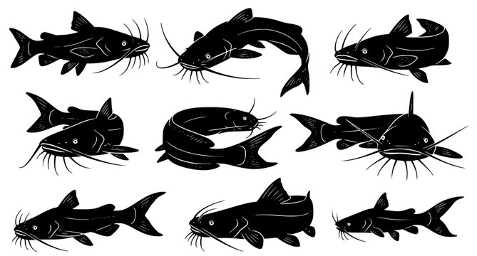 Collection of various catfish silhouettes in different swimming poses isolated on white background for marine biology design