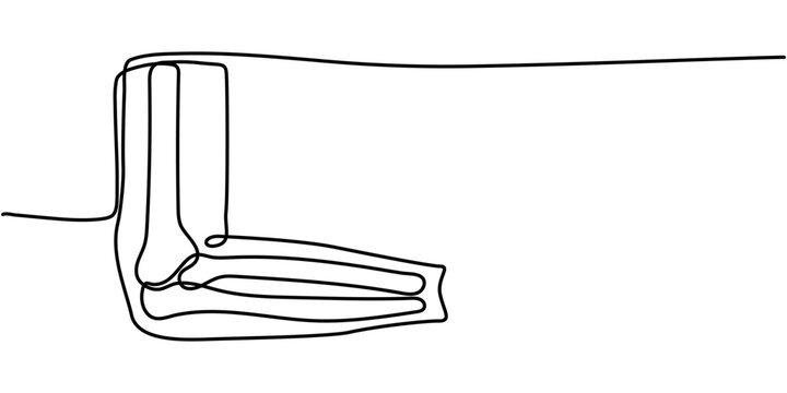 Continuous Line Drawing Human Elbow Joint Bones Vector