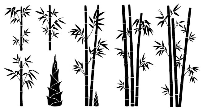 Collection of bamboo plant stalks and leaves in black silhouette style for oriental design themes