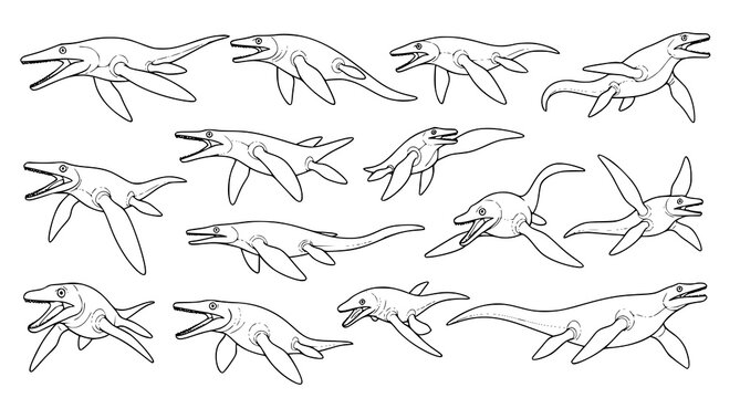 Detailed line art collection of plesiosaur marine reptiles in diverse swimming poses for paleontology illustration