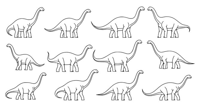 Set of long neck diplodocus dinosaur line art drawings isolated on white background for educational resources and prehistoric themed designs