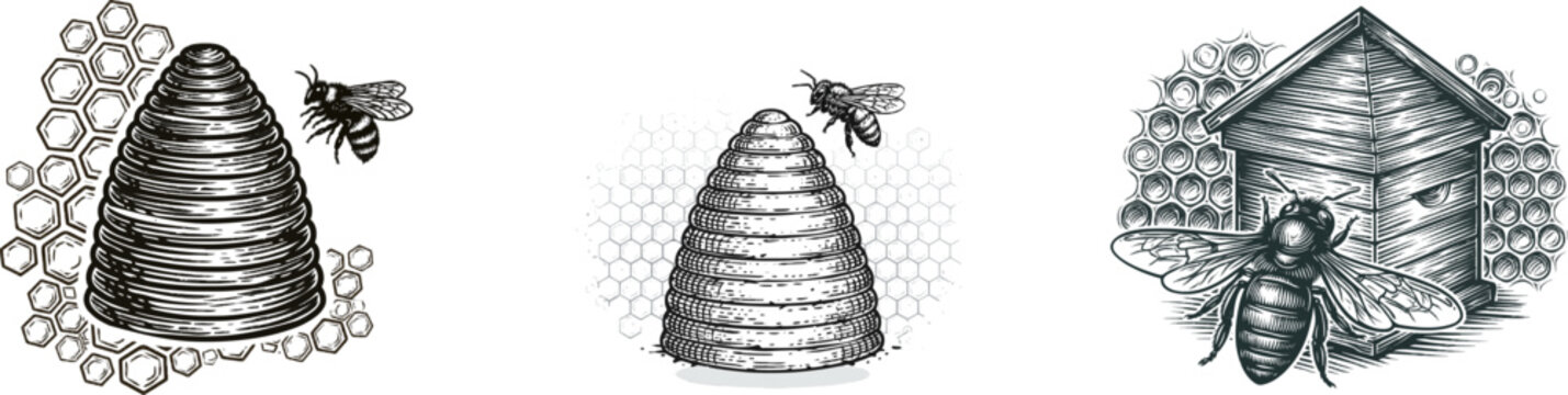 A meticulously detailed woodcut illustration of a traditional beehive, surrounded by intricate honeycomb patterns, exudes a premium natural product aesthetic with its high contrast, sharp