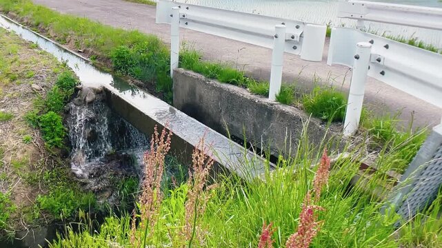 【自然】田舎の水路と道路と田園と緑と水の流れの風景 - Rural Water Channel with Road, Fields, Greenery and Flowing Water Natural Landscape