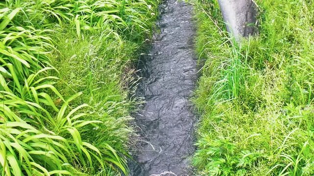 【自然】田舎の水路と緑に流れる水の風景 - Rural Waterway with Flowing Water and Green Nature Landscape
