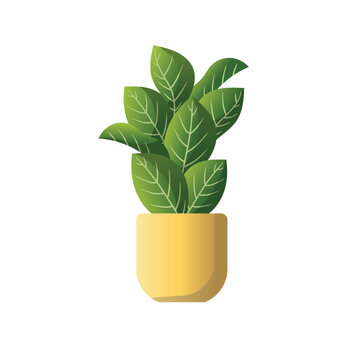 Fiddle leaf fig icon vector illustration, indoor potted plant vector icon, potted green houseplant vector illustration, isolated on white background