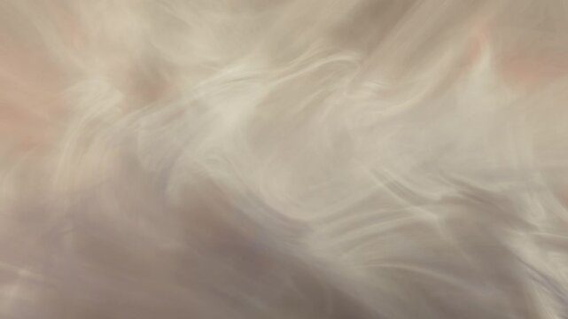 Smoke textures blend dynamically with subtle pink accents in a cinematic abstract 3D animation loop for ethereal titles and music videos