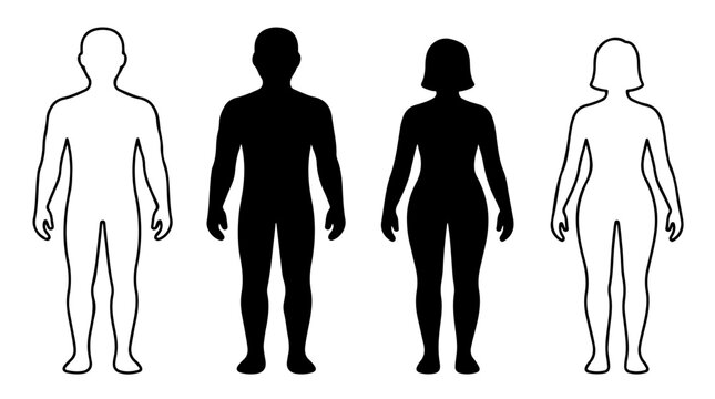 Four human silhouettes, two male and two female, minimalist black‑and‑white design representing gender diversity and anatomical proportion