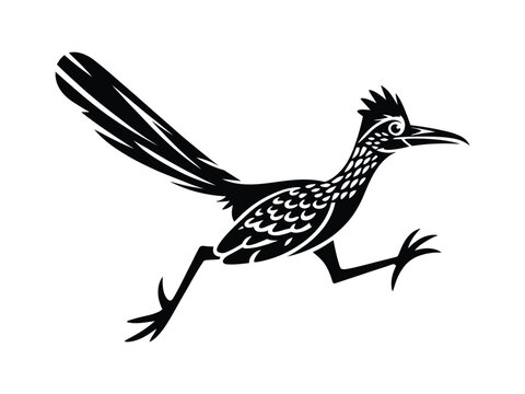 Running roadrunner bird monochrome graphic illustration with roadrunner
