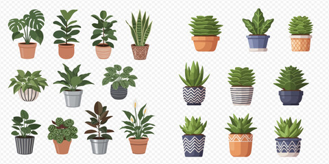 Collection of various potted house plants and succulents, showcasing diverse foliage and decorative containers. © Akun