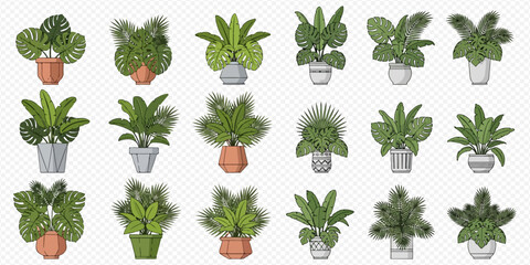 Set of various potted house plants and indoor greenery for home and office decoration. © Akun