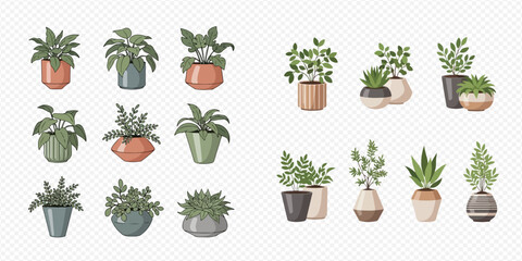 Set of various indoor house plants in decorative pots and planters, isolated on transparent background. © Akun