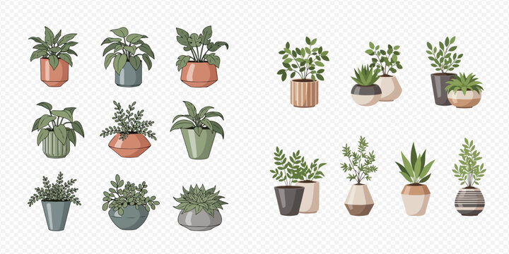 Set of various indoor house plants in decorative pots and planters, isolated on transparent background.