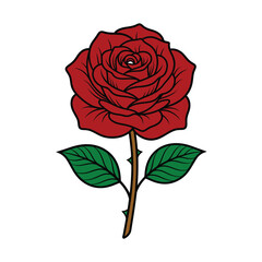 Fototapeta premium Red Rose Flower Illustration