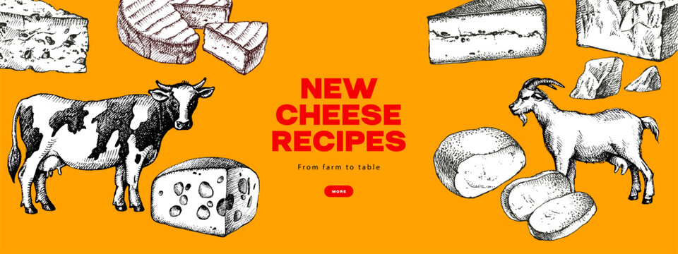 Hand drawn sketch cheese types set. Vector illustration of natural foods. Vintage sticker design elements