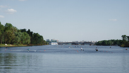 Rowers training on long boats on a calm river surrounded by lush green forest under a blue sky. Summer water sports and outdoor recreation.Scenic view of rowing sport practice on a river © Вита Курило