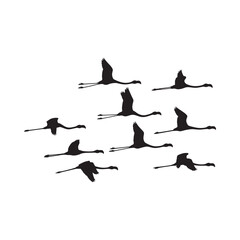 Flamingo silhouettes in flight against a white background © MstLaila