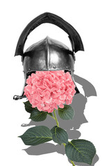 Obraz premium Trend image vertical photo collage of steel prehistoric armor helmet hydrangea flower bloom romantic era renaissance knight