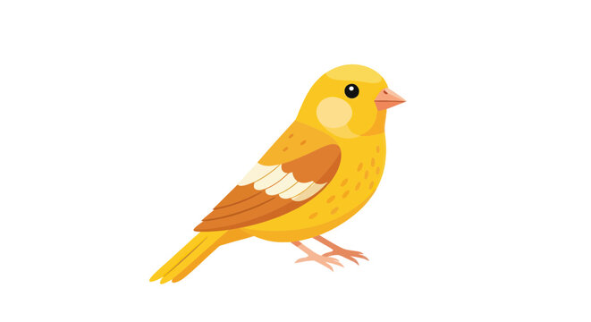 Cute Yellow Canary Bird Illustration - Isolated on White Background