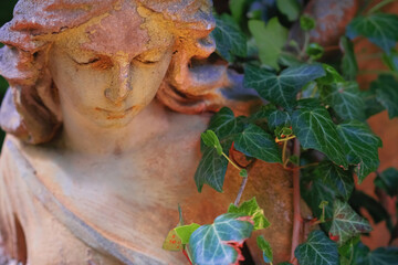 Obraz premium Beautiful sensual angel statue surrounded by green ivy.
