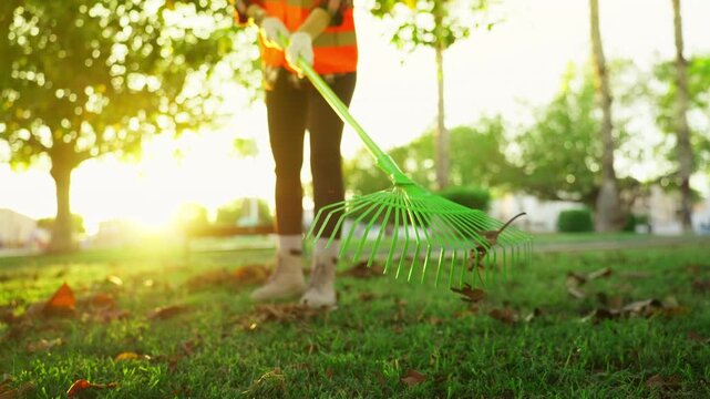 Professional groundskeeper in safety vest raking dry autumn leaves from green grass in public park, performing seasonal maintenance and landscaping during sunny fall evening