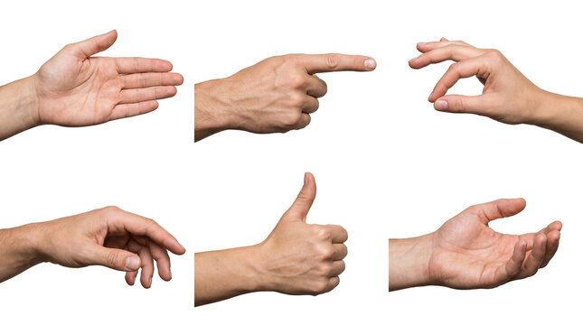 Professional photograph of six distinct human hand gestures, including pointing, thumbs up, and open palm.