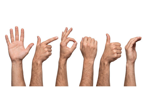 Diverse set of male hands demonstrating common gestures like open palm, pointing, okay, fist.