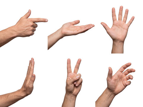 A diverse set of six male hand gestures, including pointing, open palm, and peace sign.