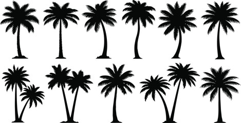 Obraz premium Collection of palm trees in various shapes and sizes black and white palm tree