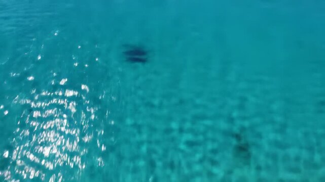 Extreme high-angle aerial video of pristine, shimmering blue water, gentle ripples, dancing sunlight dapples. Slow overhead tracking, concept of purity, tranquility, data flow